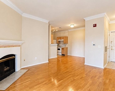 1521 Spring Gate Drive - Photo Thumbnail 3