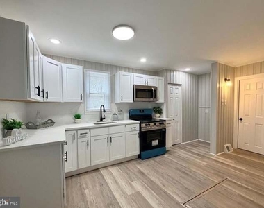 31 Mantua Road - Photo Thumbnail 7