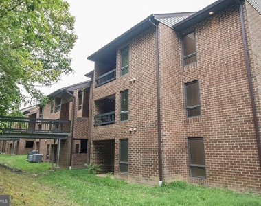 44792 Locust Ridge Court - Photo Thumbnail 32