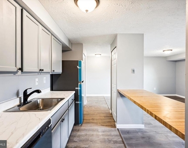12405 Hickory Tree Way - Photo Thumbnail 4
