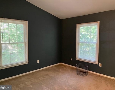1117 Wildpark Avenue - Photo Thumbnail 13
