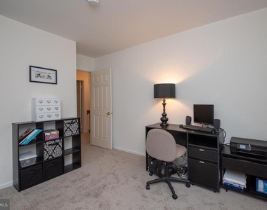 1117 Wildpark Avenue - Photo Thumbnail 50