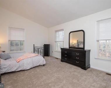 1117 Wildpark Avenue - Photo Thumbnail 45