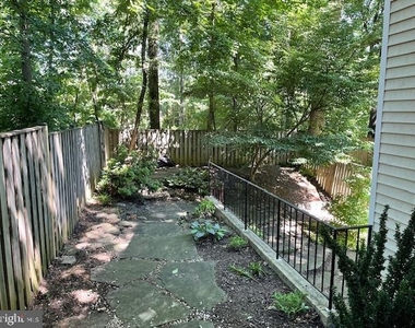 1117 Wildpark Avenue - Photo Thumbnail 33