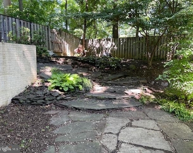 1117 Wildpark Avenue - Photo Thumbnail 35