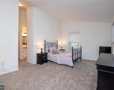 1117 Wildpark Avenue - Photo Thumbnail 46