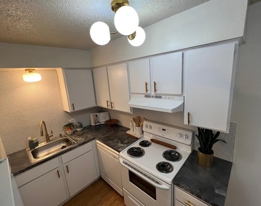 4209 Avenue B Ave - Photo Thumbnail 4
