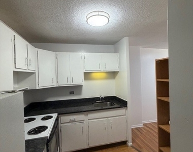 5100 N Marine Drive - Photo Thumbnail 21