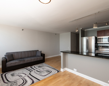 474 N Lake Shore Drive - Photo Thumbnail 11