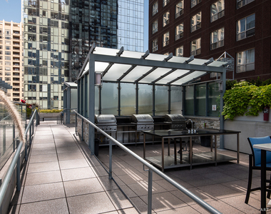 474 N Lake Shore Drive - Photo Thumbnail 19