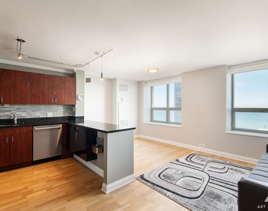 474 N Lake Shore Drive - Photo Thumbnail 12