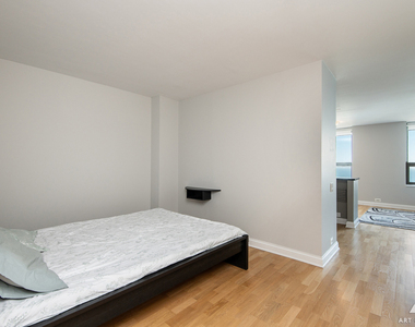 474 N Lake Shore Drive - Photo Thumbnail 3