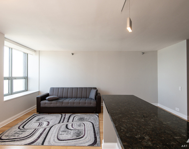 474 N Lake Shore Drive - Photo Thumbnail 7