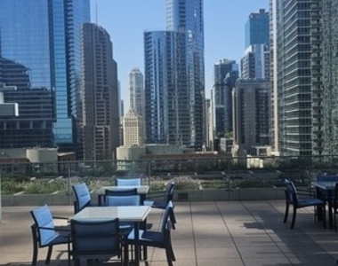 474 N Lake Shore Drive - Photo Thumbnail 22