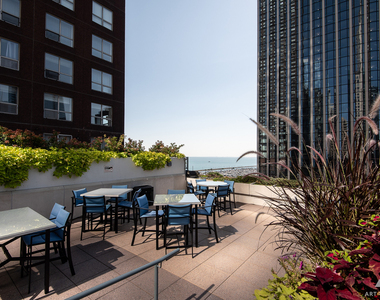 474 N Lake Shore Drive - Photo Thumbnail 20