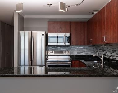 474 N Lake Shore Drive - Photo Thumbnail 10