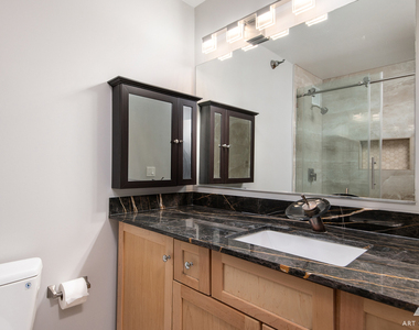 474 N Lake Shore Drive - Photo Thumbnail 5
