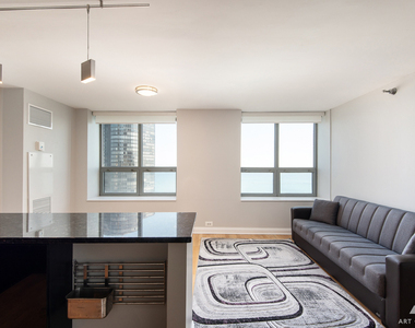 474 N Lake Shore Drive - Photo Thumbnail 16