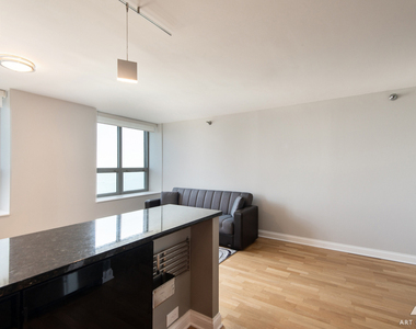 474 N Lake Shore Drive - Photo Thumbnail 13