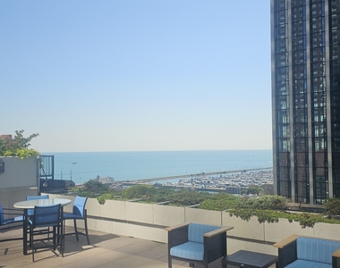 474 N Lake Shore Drive - Photo Thumbnail 25
