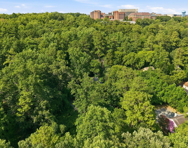 407 Coolidge Street - Photo Thumbnail 16