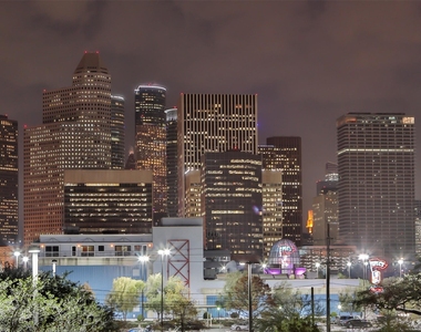 206 Mcgowen Street - Photo Thumbnail 16