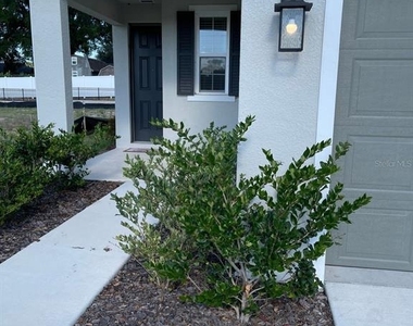 824 Blue Creek Drive - Photo Thumbnail 29