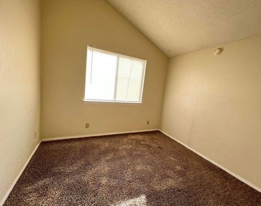 11812 Tracy Austin Lane - Photo Thumbnail 11