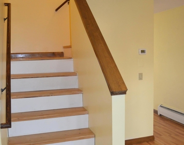 59 Cook Street - Photo Thumbnail 8