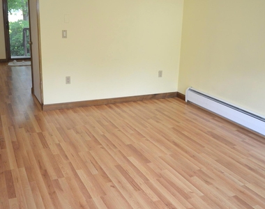 59 Cook Street - Photo Thumbnail 17