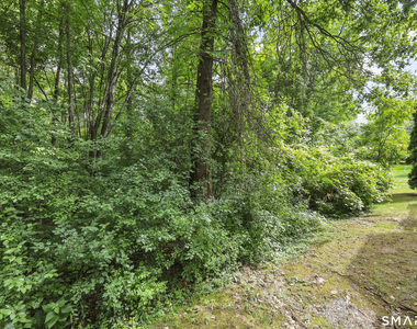 14 Harwich Lane - Photo Thumbnail 32
