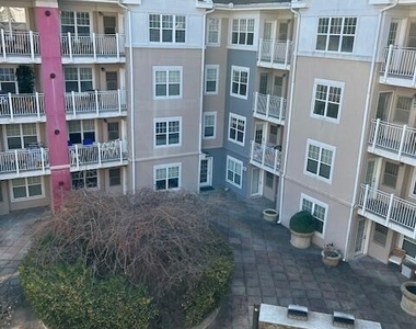 488 Bedford Street - Photo Thumbnail 9