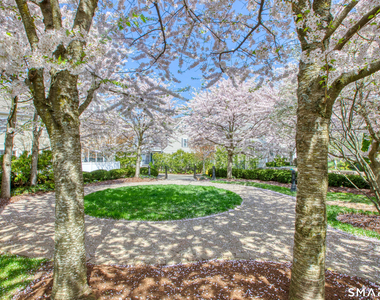39 Maple Tree Avenue - Photo Thumbnail 22