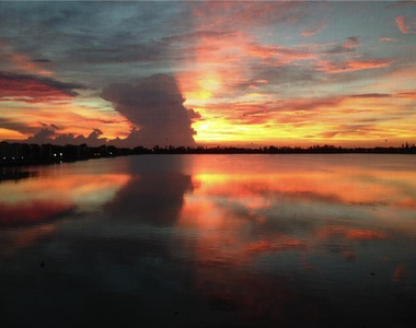 111 Lake Emerald Drive - Photo Thumbnail 40