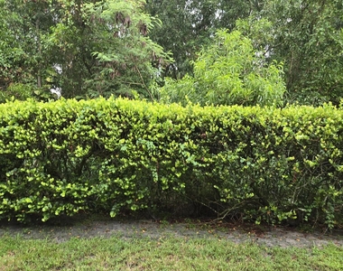 4675 Palmbrooke Circle - Photo Thumbnail 10