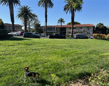 254 Calle Aragon - Photo Thumbnail 20