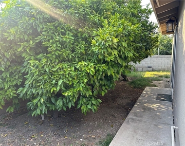 24450 University Avenue - Photo Thumbnail 25