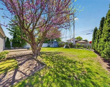 84 Cornflower - Photo Thumbnail 19