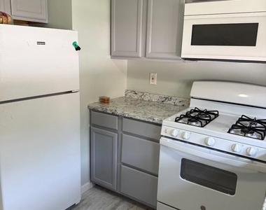 607 2nd Ave, Unit A - Photo Thumbnail 3