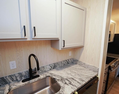 308 N Division Street - Photo Thumbnail 12