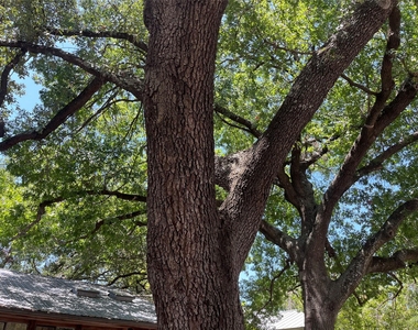 1211 Ruth Ave - Photo Thumbnail 17