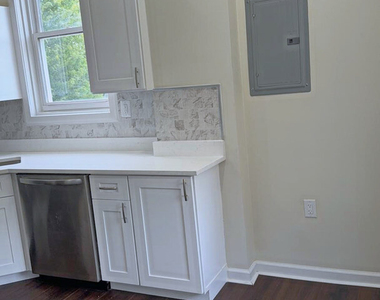 1141 S Saint Louis Avenue - Photo Thumbnail 4