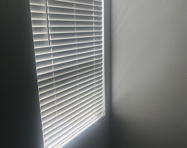 952 Pertuso Lane - Photo Thumbnail 15
