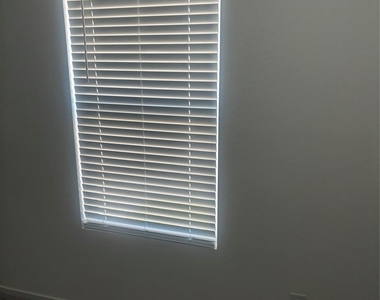 952 Pertuso Lane - Photo Thumbnail 13