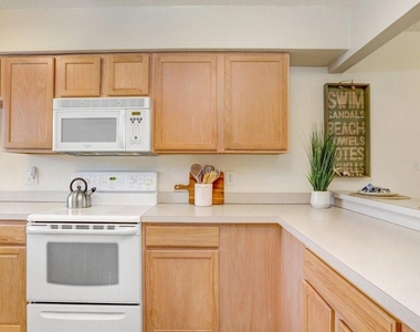 708 Gulf Boulevard - Photo Thumbnail 8