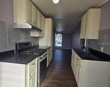 617 W Lemon Street - Photo Thumbnail 1