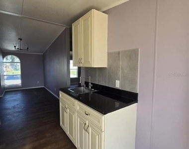 617 W Lemon Street - Photo Thumbnail 2