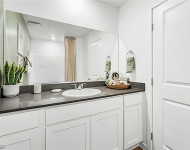 914 Rosy Starling Street - Photo Thumbnail 39