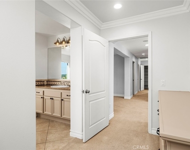 28911 Mirada Circulo - Photo Thumbnail 45