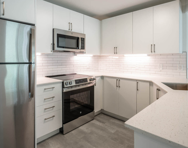 790 Willard Street - Photo Thumbnail 6